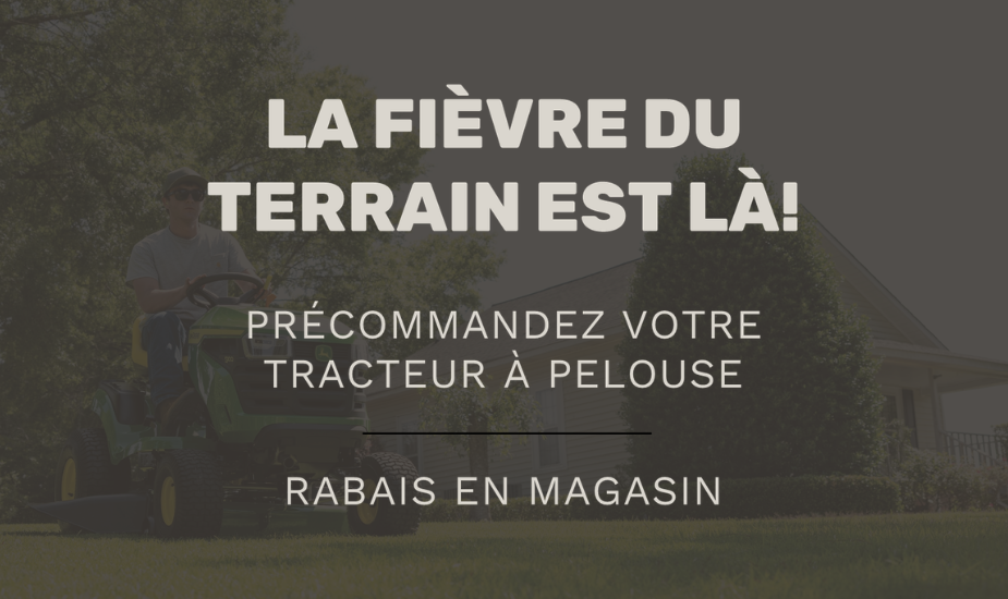 Fievre Du Terrain