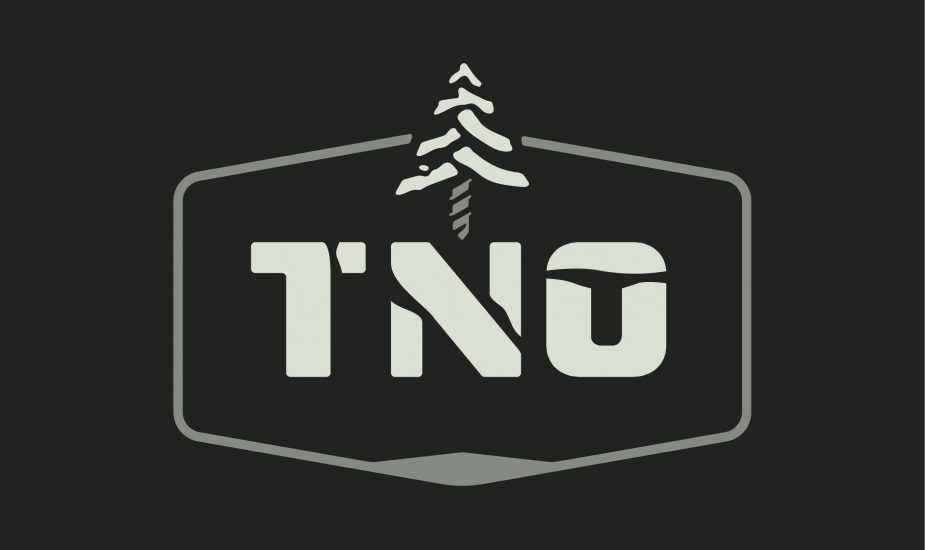 Tno Logotype Cmyk